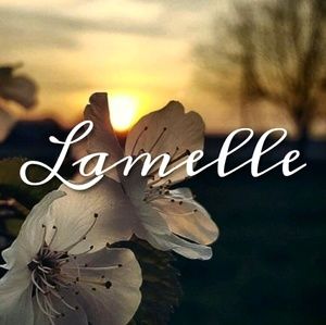 Meet your Posher, Lamelle